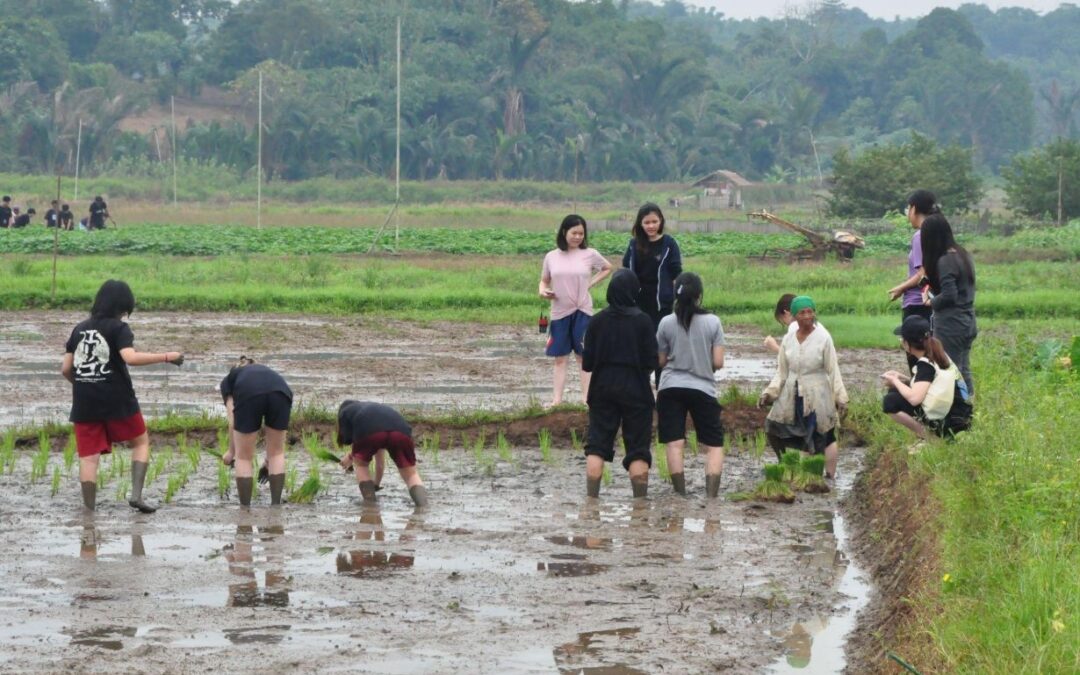 PSYHEROES 2024: Kenali Dirimu, Capai Potensimu
